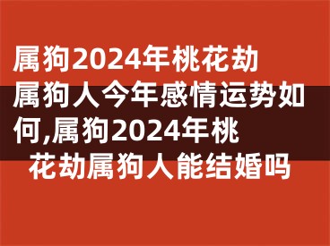 属狗2024年桃花劫属狗人今年感情运势如何,属狗2024年桃花劫属狗人能结婚吗