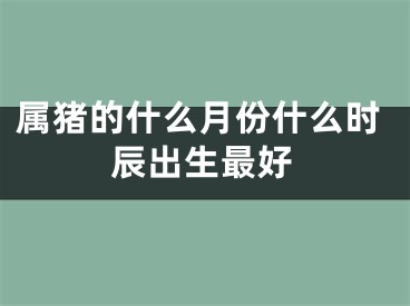属猪的什么月份什么时辰出生最好
