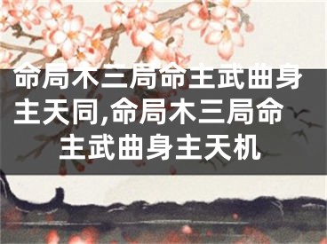 命局木三局命主武曲身主天同,命局木三局命主武曲身主天机