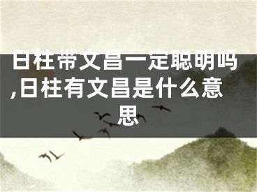 日柱带文昌一定聪明吗,日柱有文昌是什么意思