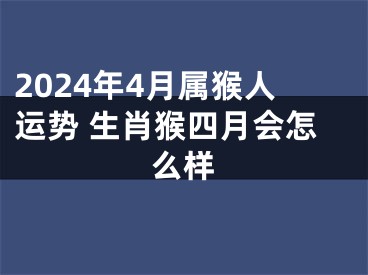 2024年4月属猴人运势 生肖猴四月会怎么样