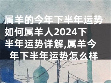 属羊的今年下半年运势如何属羊人2024下半年运势详解,属羊今年下半年运势怎么样