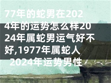 77年的蛇男在2024年的运势怎么样2024年属蛇男运气好不好,1977年属蛇人2024年运势男性