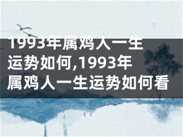 1993年属鸡人一生运势如何,1993年属鸡人一生运势如何看