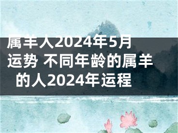属羊人2024年5月运势 不同年龄的属羊的人2024年运程