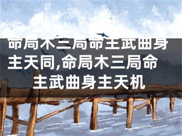 命局木三局命主武曲身主天同,命局木三局命主武曲身主天机