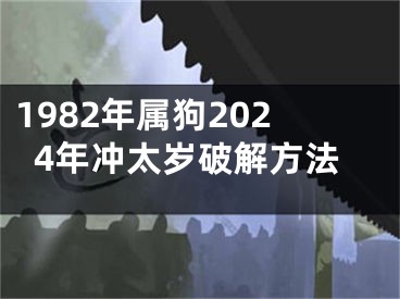 1982年属狗2024年冲太岁破解方法