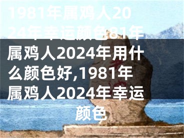 1981年属鸡人2024年幸运颜色81年属鸡人2024年用什么颜色好,1981年属鸡人2024年幸运颜色