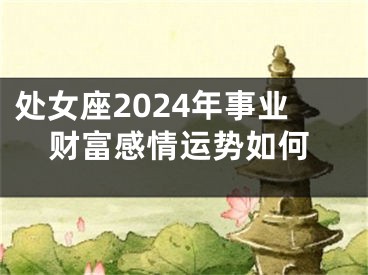 处女座2024年事业财富感情运势如何