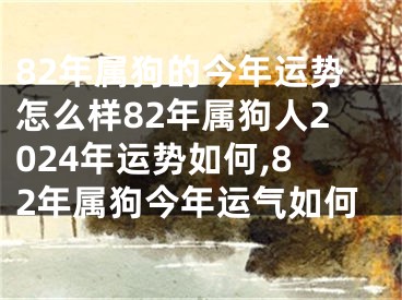 82年属狗的今年运势怎么样82年属狗人2024年运势如何,82年属狗今年运气如何
