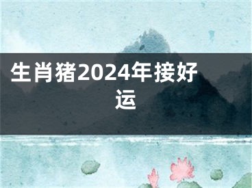 生肖猪2024年接好运