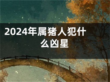 2024年属猪人犯什么凶星
