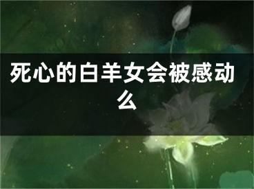 死心的白羊女会被感动么