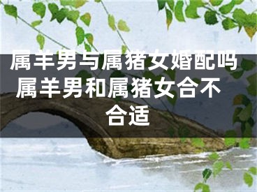 属羊男与属猪女婚配吗 属羊男和属猪女合不合适