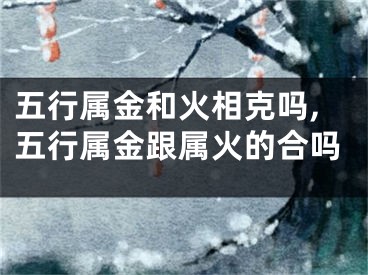 五行属金和火相克吗,五行属金跟属火的合吗