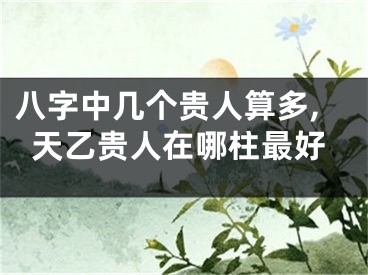 八字中几个贵人算多,天乙贵人在哪柱最好