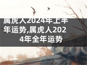 属虎人2024年上半年运势,属虎人2024年全年运势