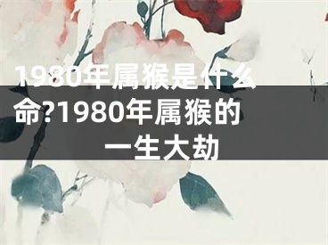 1980年属猴是什么命?1980年属猴的一生大劫