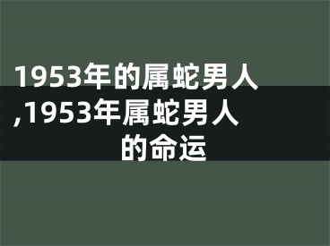 1953年的属蛇男人,1953年属蛇男人的命运