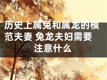 历史上属兔和属龙的模范夫妻 兔龙夫妇需要注意什么