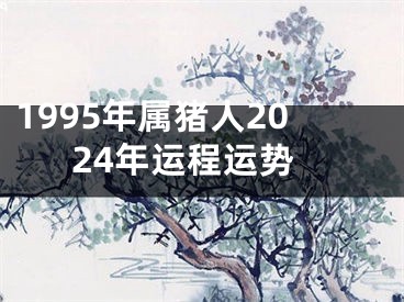 1995年属猪人2024年运程运势