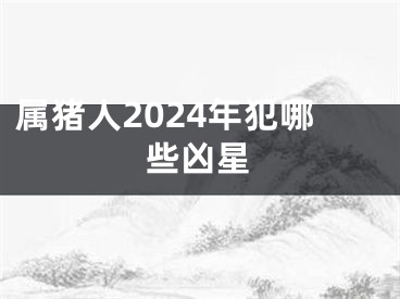 属猪人2024年犯哪些凶星