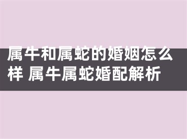属牛和属蛇的婚姻怎么样 属牛属蛇婚配解析