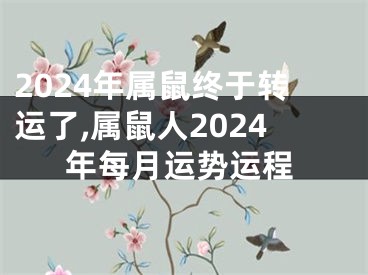 2024年属鼠终于转运了,属鼠人2024年每月运势运程