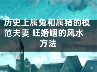 历史上属兔和属猪的模范夫妻 旺婚姻的风水方法