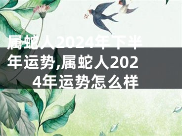 属蛇人2024年下半年运势,属蛇人2024年运势怎么样