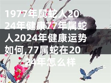 1977年属蛇人2024年健康77年属蛇人2024年健康运势如何,77属蛇在2024年怎么样