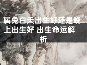 属兔白天出生好还是晚上出生好 出生命运解析
