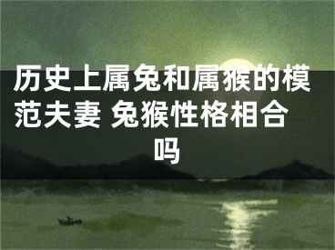 历史上属兔和属猴的模范夫妻 兔猴性格相合吗