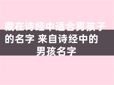藏在诗经中适合男孩子的名字 来自诗经中的男孩名字