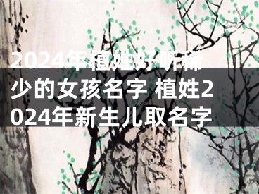 2024年植姓好听稀少的女孩名字 植姓2024年新生儿取名字