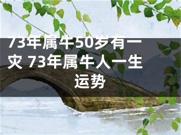 73年属牛50岁有一灾 73年属牛人一生运势
