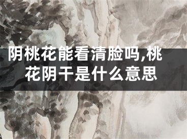 阴桃花能看清脸吗,桃花阴干是什么意思