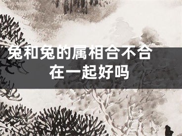 兔和兔的属相合不合 在一起好吗