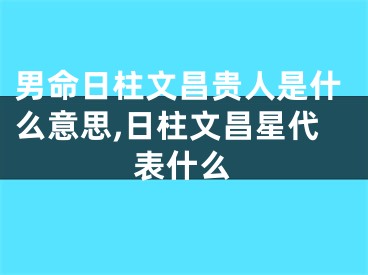 男命日柱文昌贵人是什么意思,日柱文昌星代表什么