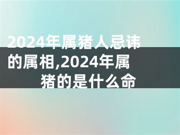 2024年属猪人忌讳的属相,2024年属猪的是什么命