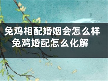 兔鸡相配婚姻会怎么样 兔鸡婚配怎么化解