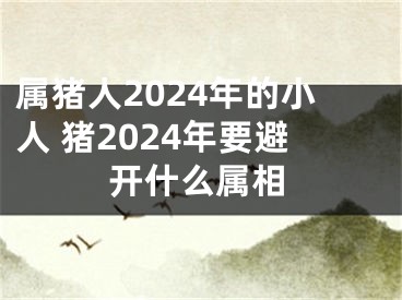 属猪人2024年的小人 猪2024年要避开什么属相