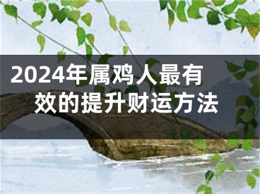 2024年属鸡人最有效的提升财运方法