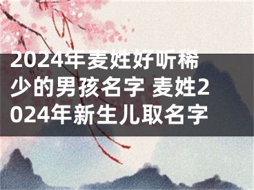 2024年麦姓好听稀少的男孩名字 麦姓2024年新生儿取名字