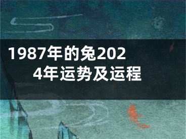 1987年的兔2024年运势及运程