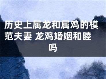 历史上属龙和属鸡的模范夫妻 龙鸡婚姻和睦吗
