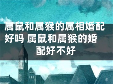 属鼠和属猴的属相婚配好吗 属鼠和属猴的婚配好不好