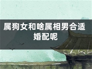 属狗女和啥属相男合适婚配呢