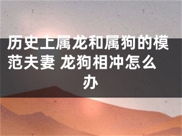 历史上属龙和属狗的模范夫妻 龙狗相冲怎么办