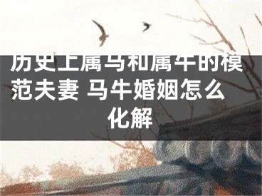 历史上属马和属牛的模范夫妻 马牛婚姻怎么化解
